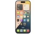 iPhone 16 Pro (occasion)